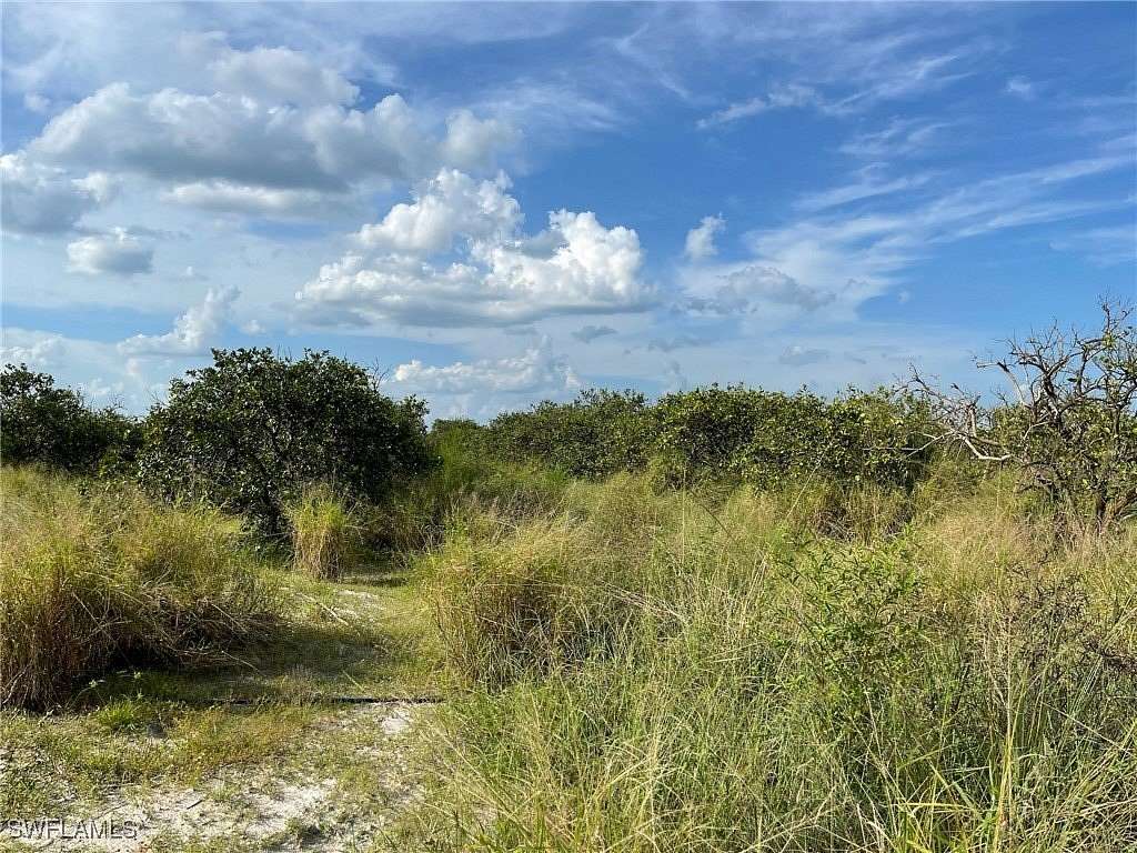 33.841 Acres of Agricultural Land for Sale in LaBelle, Florida