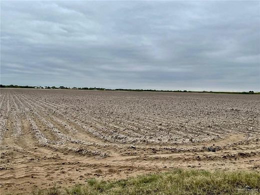 38.3 Acres of Agricultural Land for Sale in Mercedes, Texas