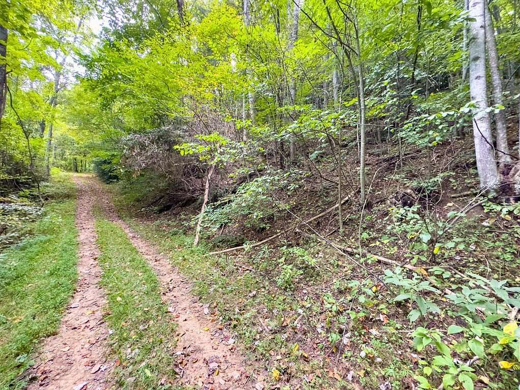 2.6 Acres of Residential Land for Sale in Fancy Gap, Virginia