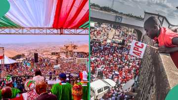 APC, PDP lock horns as election holds in 3 states today, full list emerges