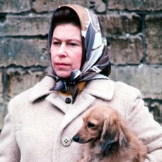 Queen Elizabeth II with one of her favourite dogs in April 1976. 