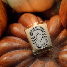 Diptyque Citrouille candle lit laying on top of orange pumpkin 