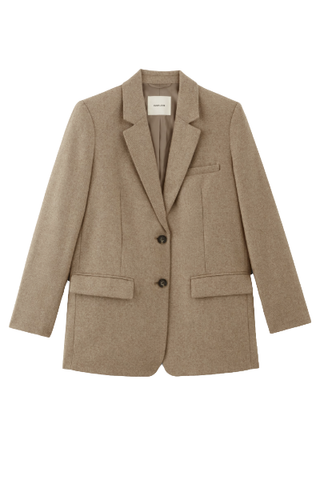 Everlane The Oversized Blazer in Wool