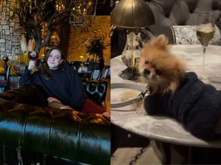 On the left, a woman reclines on a couch drinking a cocktail. On the right, a dog laying on a table with a glass of champagne.