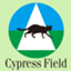 CypressField