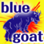 bluegoat511545