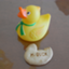 labduck