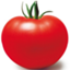 sumtomato