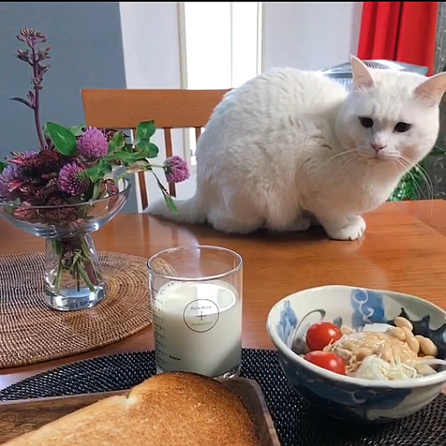 nyanko-beamさんの実例写真