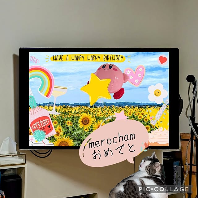 tomatopapaさんの実例写真