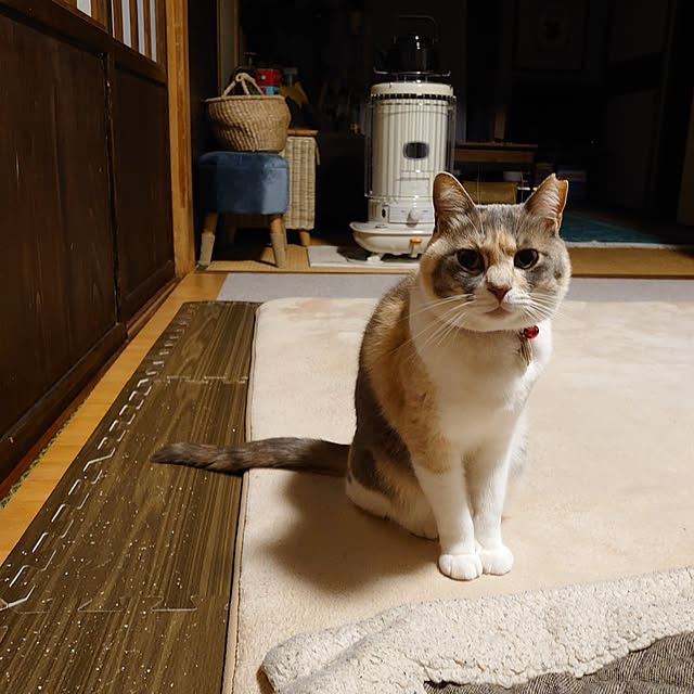 fukuさんの実例写真