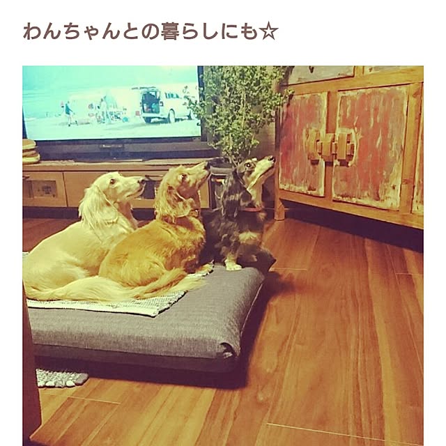 cocosorasakuさんの実例写真