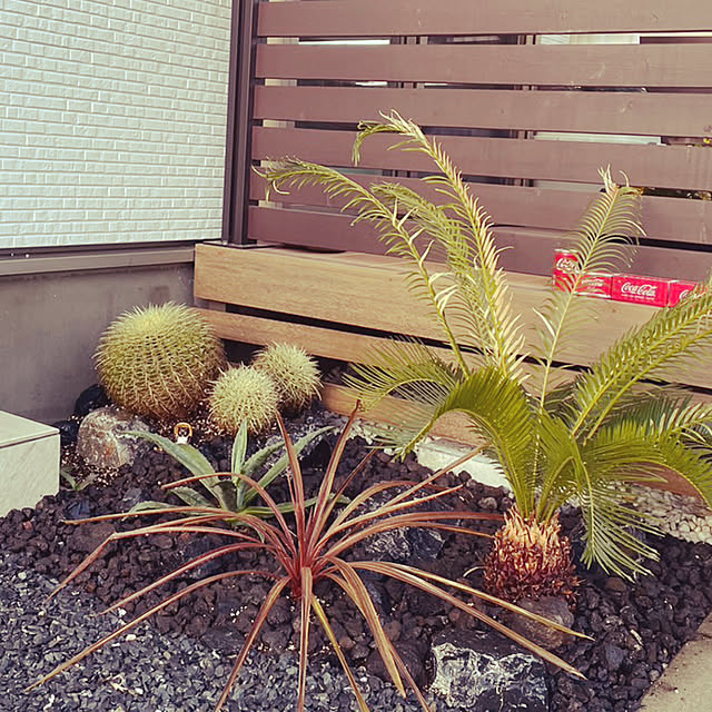 hiroの写真 1