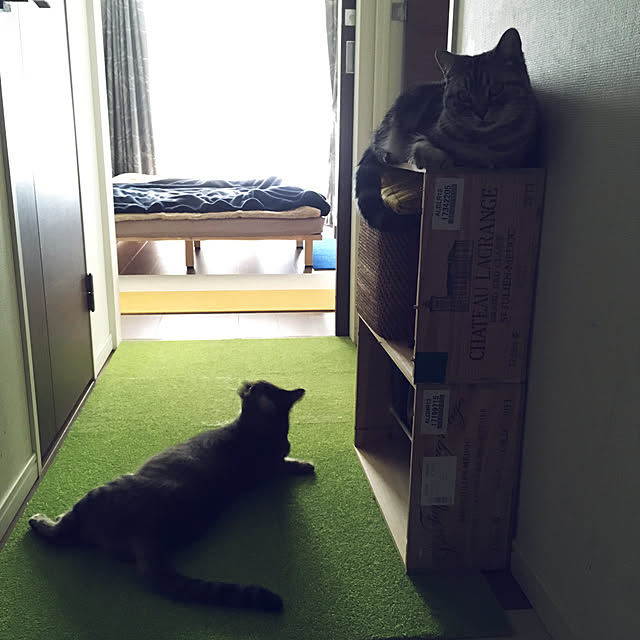 mikomaruさんの部屋