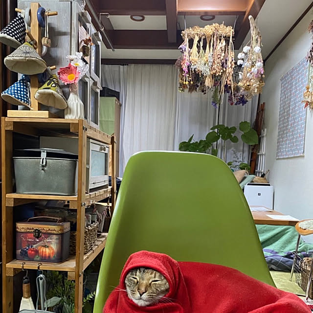 mohhaさんの実例写真