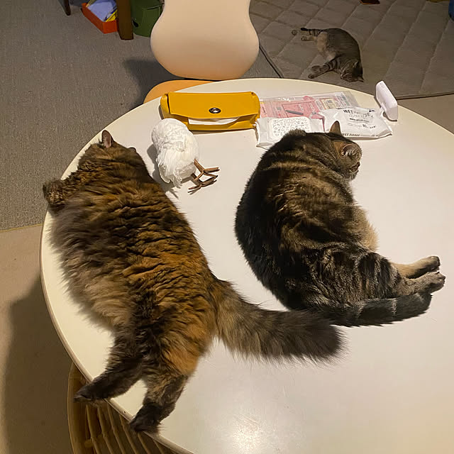 mikomaruさんの実例写真