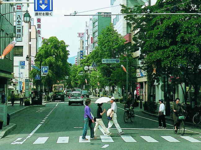 松本大名町通りのシナノキ