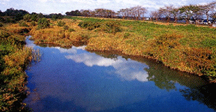 神通川