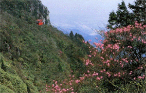 鈴鹿川