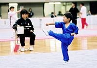 武術太極拳