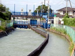 天竜川下流用水