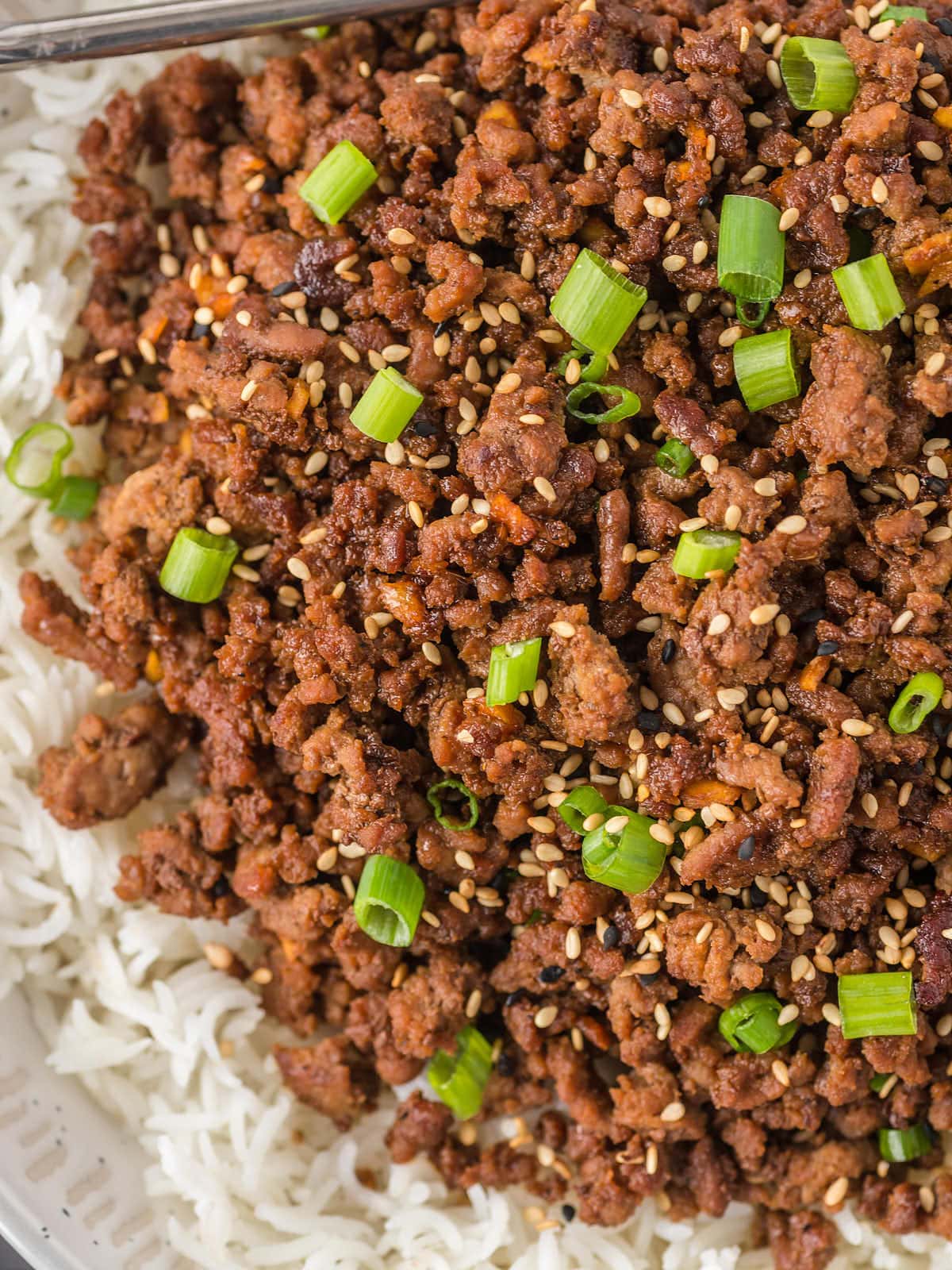 A bowl of rice with meat and green onions.