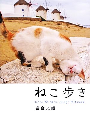 写真集 ねこ歩き