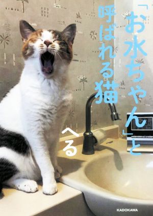 写真集 「お水ちゃん」と呼ばれる猫