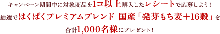 キャンペーン期間中に対象商品を2コ以上購入したレシートで応募しよう！抽選で「ちょっといい日の食器ペアセット」を合計300名様にプレゼント！