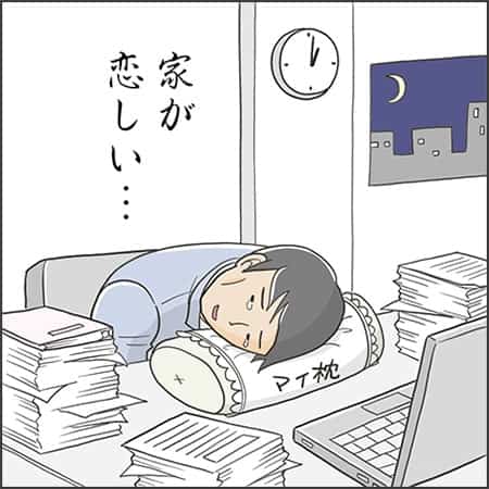 家が恋しい……