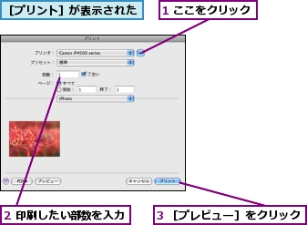 1 ここをクリック,2 印刷したい部数を入力,3 ［プレビュー］をクリック,［プリント］が表示された