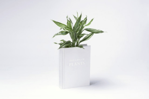 並べて置いてみたい！植物の一生を物語る本の形をした植木鉢 - Book Vase