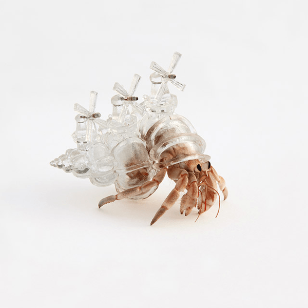 これは贅沢！3Dプリントされた美しすぎるヤドカリの家 - 3D Printed Hermit Crab Shell