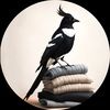 moody_magpie