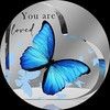 butterfly_8_8_