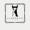 llamaco2024