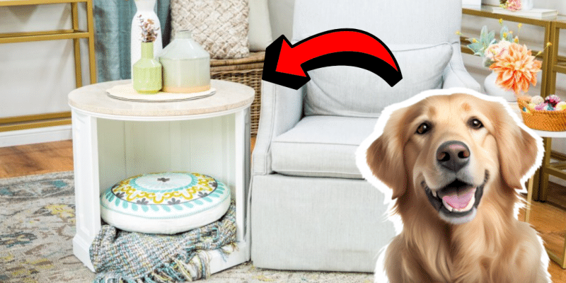 Easy DIY Upcycled Table/Dog Bed | DIY Joy Projects and Crafts Ideas