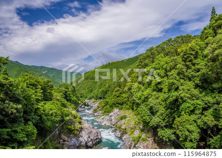 美麗的夏日溪谷【龍內峽谷】 三重縣多喜郡大台町 115964875