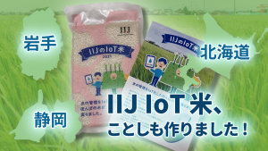 「IoT米、ことしも作りました！」のイメージ