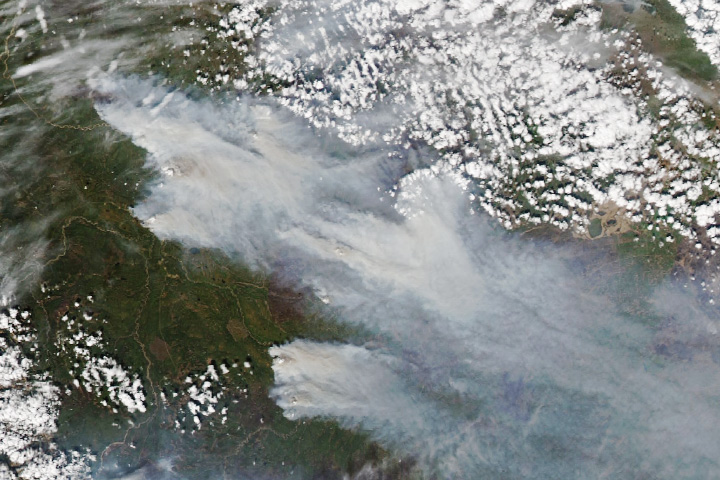 2024 Fires in the Northern Hemisphere