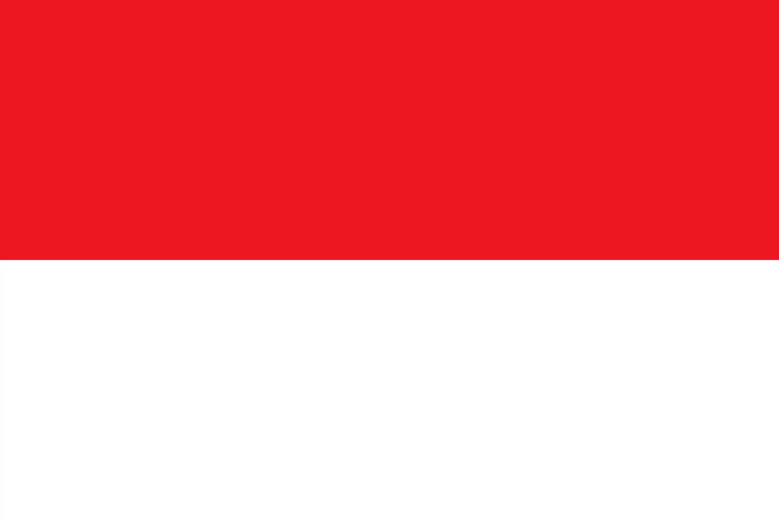 Indonesia FLag