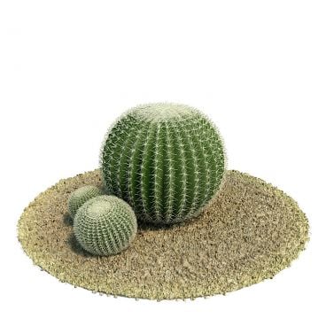 Echinocactus grusonii Plant 56 AM61 Archmodels