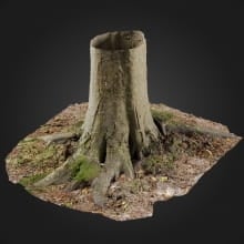 Stump 49 AM255 Archmodels