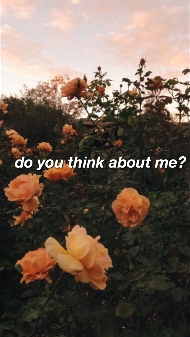 flowers, benjamin ingrosso and green