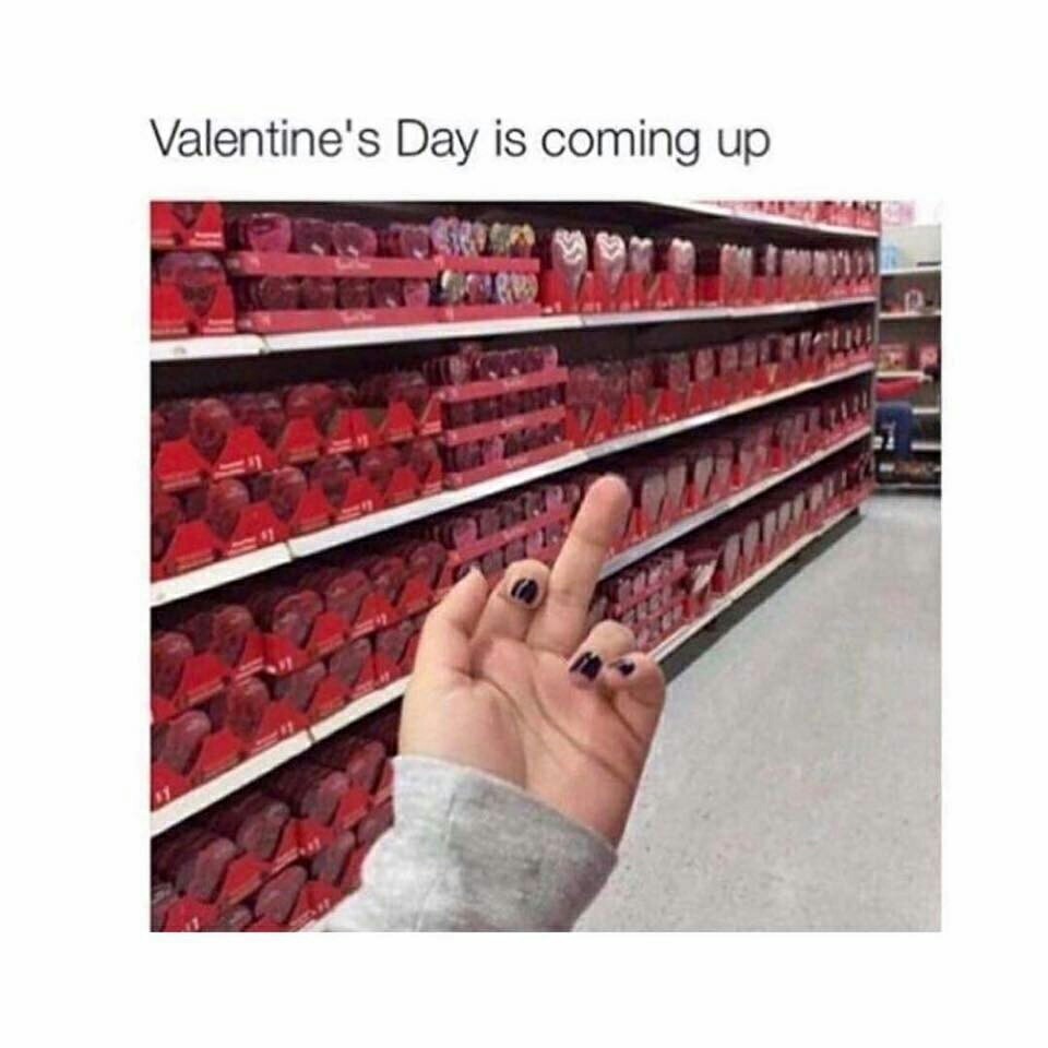 valentines day, ?????? and ????