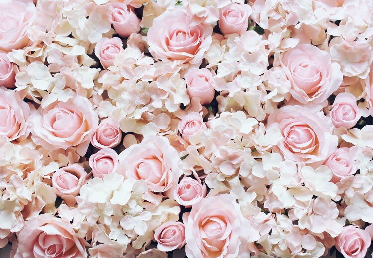 aesthetic, flowers and roses