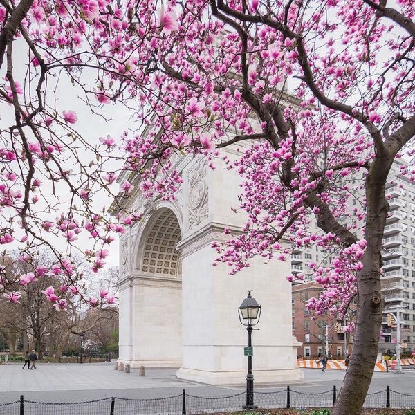 park, arch and city