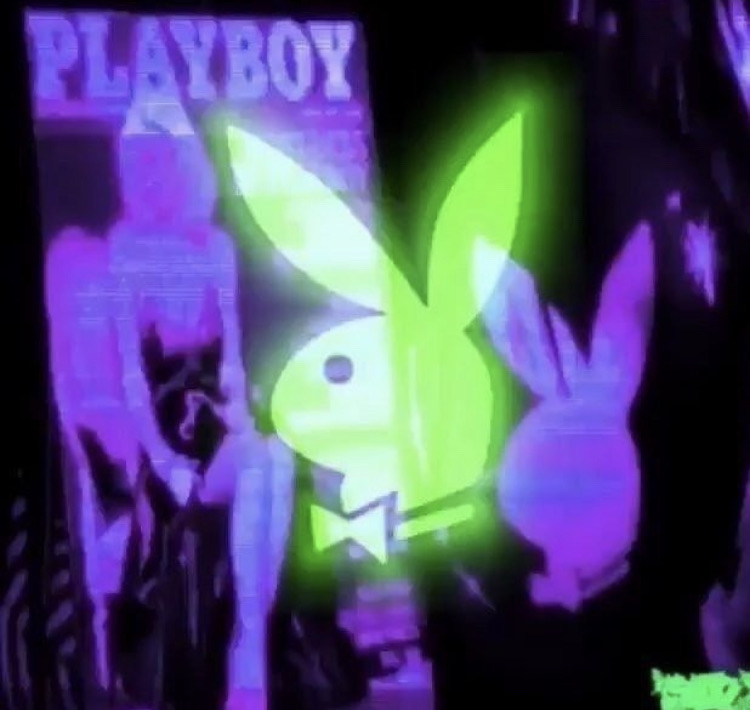 aesthetic, c?r?i and playboy