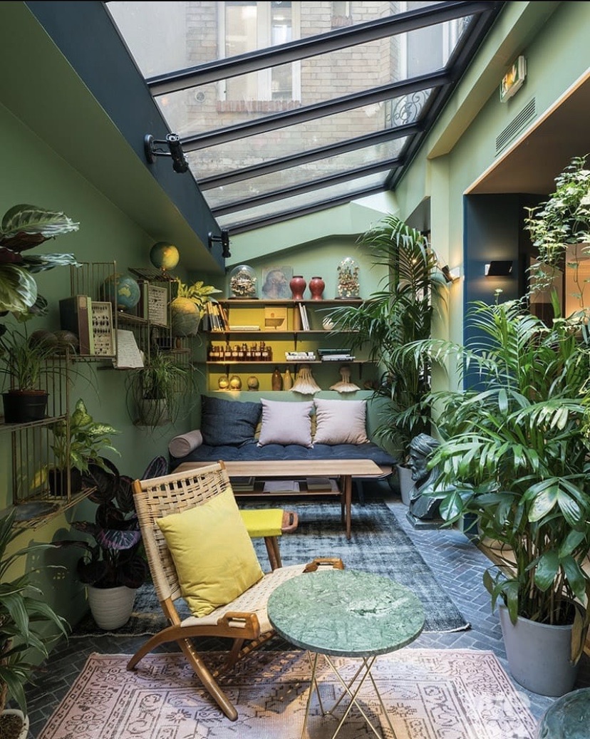 greenhouse, plants and cozy