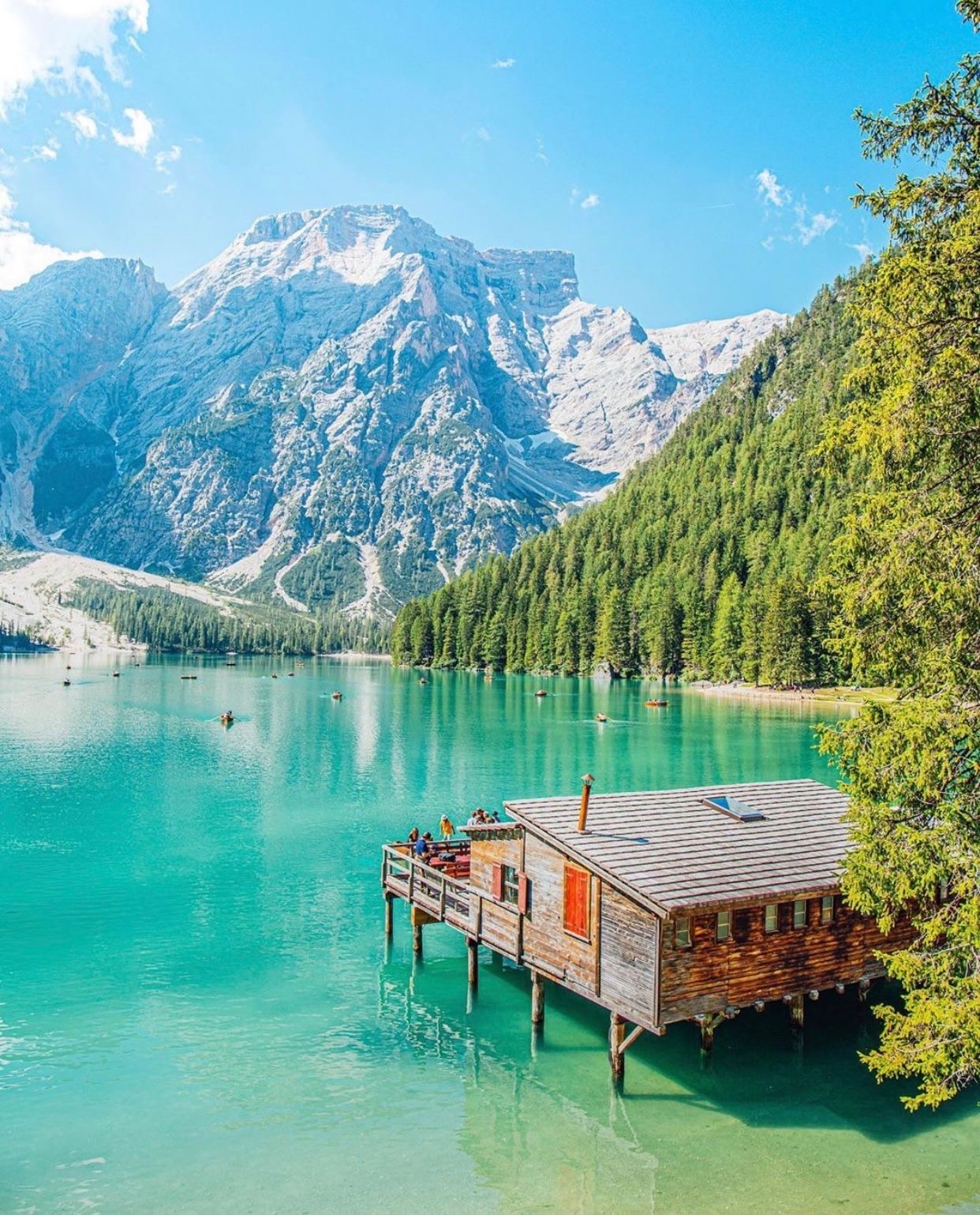 landscape, mountain and trees
